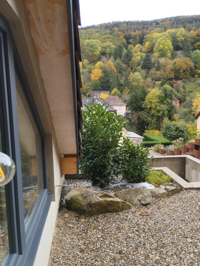 L'Ecrin Des Biches Bed & Breakfast Sainte-Marie-aux-Mines Exterior foto